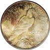 Image 2 : 1934 S$1 MS67 NGC.From The Robert Moren