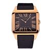 Image 1 : Cartier Santos Watch