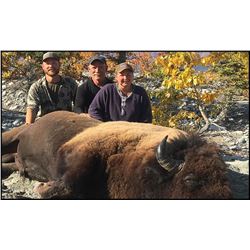 ALASKA GOVERNOR’S PERMIT - CHITINA BISON ZONE DI450