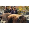 Image 1 : ALASKA GOVERNOR’S PERMIT - CHITINA BISON ZONE DI450