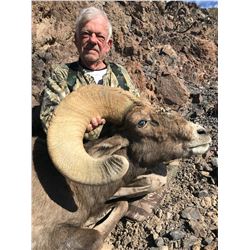 STATE OF CALIFORNIA DESERT SHEEP PERMIT