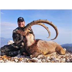 7 DAY BEZOAR IBEX (ANY SIZE) HUNT IN TURKEY FOR 1 HUNTER (Trophy Fee Included)