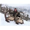 Image 2 : 7 DAY BEZOAR IBEX (ANY SIZE) HUNT IN TURKEY FOR 1 HUNTER (Trophy Fee Included)