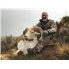 Image 3 : 5 FULL DAY ARGENTINA BIG GAME HUNT (Including two trophy fees) FOR 1 HUNTER
