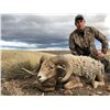 Image 4 : 5 FULL DAY ARGENTINA BIG GAME HUNT (Including two trophy fees) FOR 1 HUNTER