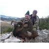 Image 4 : 6 DAY HUNT/TOUR IN CROATIA FOR ONE HUNTER AND ONE OBSERVER
