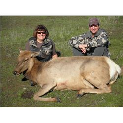 3 DAY CALIFORNIA TULE ELK COW/WILD HOG HUNT FOR 1 YOUTH/FEMALE/FIRST TIME HUNTER AND 1 OBSERVER