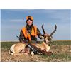 Image 2 : 2 DAY COLORADO ANTELOPE HUNT FOR VETERAN, WOMAN, OR YOUTH HUNTER