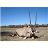 Image 4 : 5 DAY AFRICAN SAFARI FOR 2 HUNTERS INCLUDES 1 GEMSBUCK (ORYX) EACH IN NAMIBIA