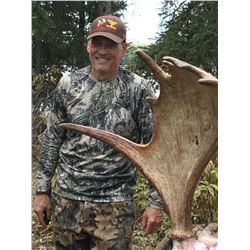 9 DAY BRITISH COLUMBIA MOOSE HUNT FOR 1 HUNTER