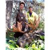 Image 3 : 9 DAY BRITISH COLUMBIA MOOSE HUNT FOR 1 HUNTER