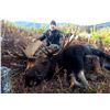 Image 5 : 9 DAY BRITISH COLUMBIA MOOSE HUNT FOR 1 HUNTER