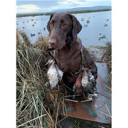 1 DAY DUCK HUNT AT PATO LOCO CLUB FOR 1 HUNTER