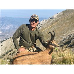 7 NIGHT / 6 DAY CHAMOIS HUNT FOR 1 HUNTER - CHOICE OF ALPINE, BALKAN, OR CARPATHIAN