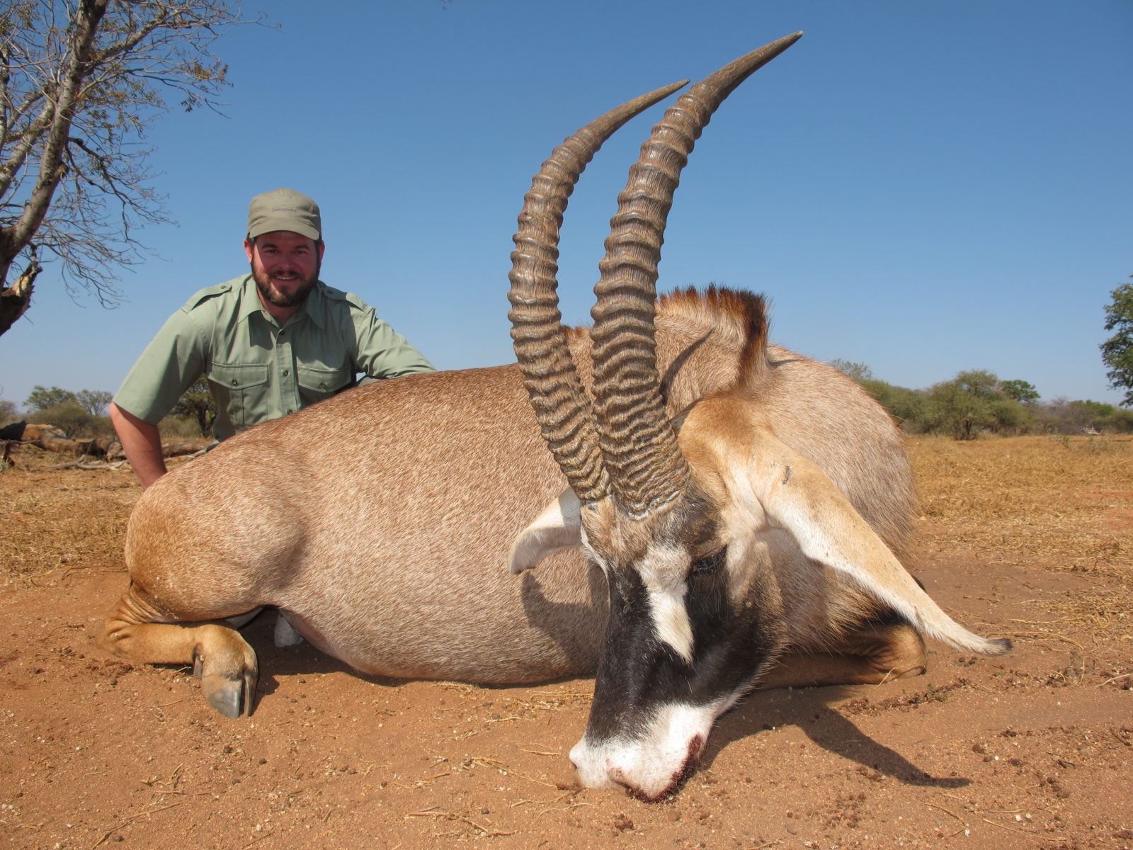 7 DAY AFRICAN PLAINS GAME FOR 2 HUNTERS WITH 2,000 TROPHY CREDIT EACH