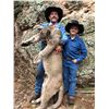 Image 2 : 5 DAY ARIZONA MOUNTAIN LION HUNT FOR ONE HUNTER