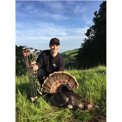 1 DAY TURKEY HUNT IN NORTHERN CALIFORNIA FOR 1 HUNTER