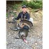 Image 3 : 1 DAY TURKEY HUNT IN NORTHERN CALIFORNIA FOR 1 HUNTER