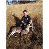 Image 1 : VERY RARE 2 DAY CALIFORNIA BLACKTAIL HUNT AT HOPLAND RESEARCH CENTER FOR 1 HUNTER