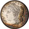 Lot 0119 1881-S Morgan $1 NGC MS66