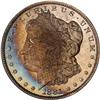 Lot 0123 1881-S Morgan $1 ICG MS66