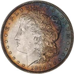 Lot 0204 Lot of Two Toned 1885 Morgan Dollars NGC MS64*