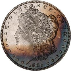 Lot 0207 Lot of Two Toned 1885 Morgan Dollars both NGC