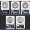 Image 2 : Lot 0214 Lot of Five Toned Battle Creek Morgan all NGC