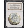 Image 3 : Lot 0237 1886 Morgan $1 NGC MS65*