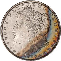 Lot 0243 1886 Morgan $1 NGC MS65*