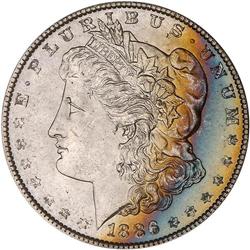 Lot 0248 1886 Morgan $1 NGC MS65*