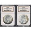 Image 3 : Lot 0251 1886 Morgan $1 NGC MS65*