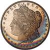 Image 1 : Lot 0255 1886 Morgan $1 NGC MS64* DMPL