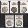 Image 1 : Lot 0259 Five 1886 Battle Creek Morgan $1 NGC Uncircula