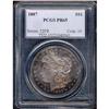 Image 3 : Lot 0263 1887 Morgan $1 PCGS Proof 65