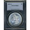 Lot 0307 1889-O Morgan $1 PCGS MS62