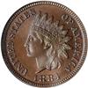 Image 1 : Lot 0648 1884 Indian Head 1C NGC PF67 BR