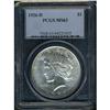 Image 1 : Lot 0883 1926-D Peace $1 PCGS MS63