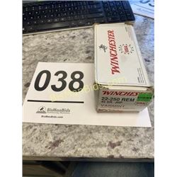 40 Rounds Winchester 22-250 REM 45 GR. JHP Varmint