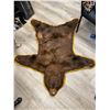Image 1 : Small Brown Bear Rug