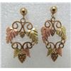 Image 1 : BLACK HILLS GOLD EARRINGS MULTICOLOR FLORAL