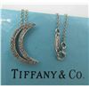 Image 5 : TIFFANY & CO DIAMOND PLATINUM MOON NECKLACE