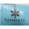 Image 1 : TIFFANY & CO PLATINUM DIAMOND SNOWFLAKE NECKLACE