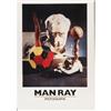Image 9 : Man Ray Monographs A - 14 pieces