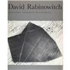 Image 7 : David Rabinowitch Monographs - 8 pieces