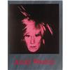Image 18 : Andy Warhol Monographs C - 19 pieces