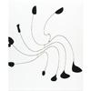 Image 18 : Alexander Calder Monographs A - 17 piec