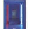 Image 4 : Dan Flavin Monographs - 4 pieces