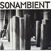 Image 10 : Harry Bertoia Sonambient LP Collection 