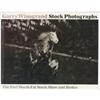 Image 14 : Photography Monographs E - 32 pieces
